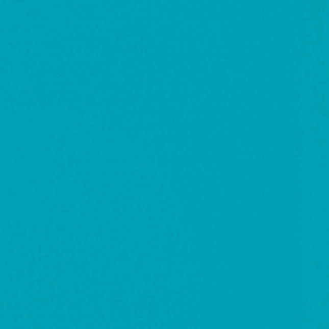 Tula Pink Designer Essentials | Solid Parrot Blue | FreeSpirit