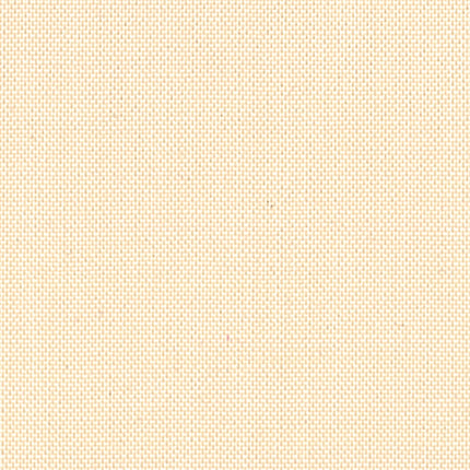 Devonstone Solids DV051 Sea Shell