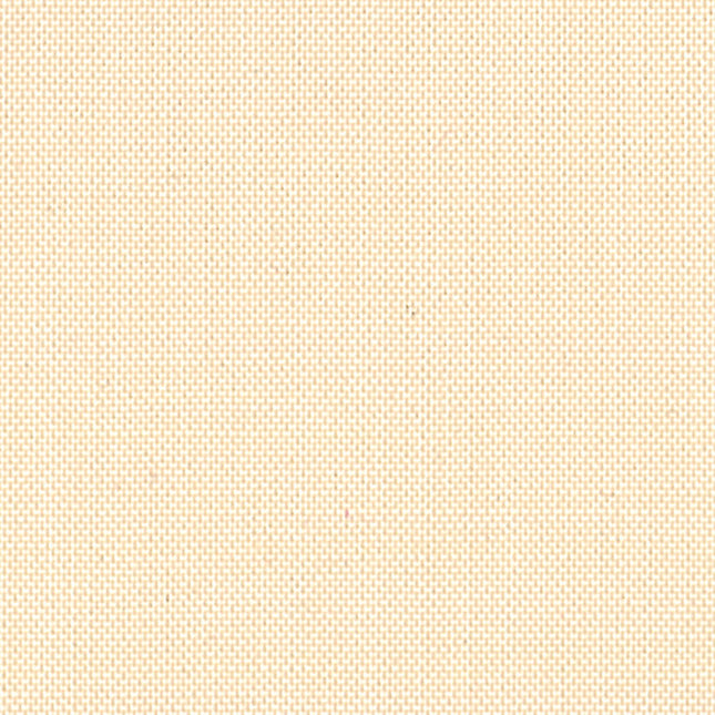 Devonstone Solids DV051 Sea Shell